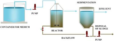 Debromination of Hexabromocyclododecane by Anaerobic Consortium and Characterization of Functional Bacteria